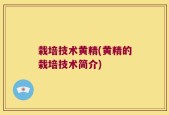 栽培技术黄精(黄精的栽培技术简介)