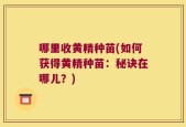 哪里收黄精种苗(如何获得黄精种苗：秘诀在哪儿？)
