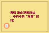 黄精 淮山(黄精淮山：中药中的“双黄”配对)