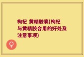 枸杞 黄精胶襄(枸杞与黄精胶合用的好处及注意事项)