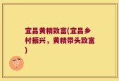 宜昌黄精致富(宜昌乡村振兴，黄精带头致富)