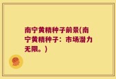 南宁黄精种子前景(南宁黄精种子：市场潜力无限。)