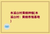 木溪口村黄精种植(木溪口村：黄精养殖基地)