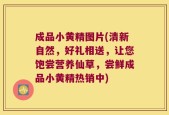 成品小黄精图片(清新自然，好礼相送，让您饱尝营养仙草，尝鲜成品小黄精热销中)