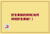 野生黄精的辨别(如何辨别野生黄精？)