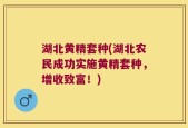 湖北黄精套种(湖北农民成功实施黄精套种，增收致富！)