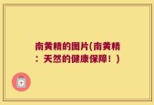 南黄精的图片(南黄精：天然的健康保障！)