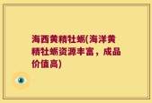 海西黄精牡蛎(海洋黄精牡蛎资源丰富，成品价值高)