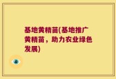 基地黄精苗(基地推广黄精苗，助力农业绿色发展)