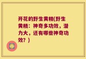 开花的野生黄精(野生黄精：神奇多功效，潜力大，还有哪些神奇功效？)