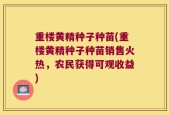 重楼黄精种子种苗(重楼黄精种子种苗销售火热，农民获得可观收益)