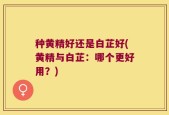 种黄精好还是白芷好(黄精与白芷：哪个更好用？)
