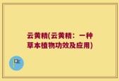 云黄精(云黄精：一种草本植物功效及应用)