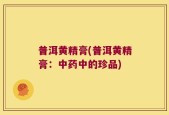 普洱黄精膏(普洱黄精膏：中药中的珍品)