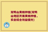 双鸭山黄精种植(双鸭山地区开展黄精种植，农业综合效益提升)