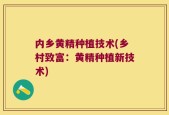 内乡黄精种植技术(乡村致富：黄精种植新技术)