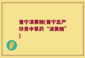 普宁滇黄精(普宁出产珍贵中草药“滇黄精”)