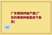 广东黄精种植产量(广东的黄精种植量创下新高)