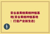 景谷县黄精黄精种植基地(景谷黄精种植基地：打造产业新生态)