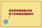 显微鉴别黄精图(显微镜下的黄精鉴别图赏析)