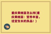 重庆黄精苗怎么样(重庆黄精苗：营养丰富，适宜生长的良品！)