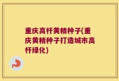 重庆高杆黄精种子(重庆黄精种子打造城市高杆绿化)