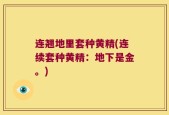 连翘地里套种黄精(连续套种黄精：地下是金。)