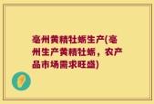 亳州黄精牡蛎生产(亳州生产黄精牡蛎，农产品市场需求旺盛)