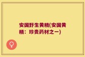 安国野生黄精(安国黄精：珍贵药材之一)