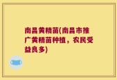 南昌黄精苗(南昌市推广黄精苗种植，农民受益良多)