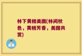 林下黄精美图(林间秋色，黄精芳香，美图共赏)