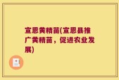 宣恩黄精苗(宣恩县推广黄精苗，促进农业发展)