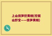 上山拔笋挖黄精(挖掘山野宝——拔笋黄精)