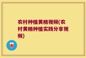 农村种植黄精视频(农村黄精种植实践分享视频)