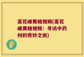 莲花峰黄精视频(莲花峰黄精视频：寻访中药材的奇妙之旅)