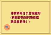 种黄精用什么作底肥好(黄精作物如何施用底肥效果更佳？)