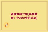 新疆黄精介绍(新疆黄精：中药材中的珍品)