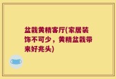 盆栽黄精客厅(家居装饰不可少，黄精盆栽带来好兆头)