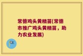 常德鸡头黄精苗(常德市推广鸡头黄精苗，助力农业发展)