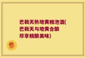 巴戟天熟地黄精泡酒(巴戟天与地黄合酿  尽享精酿美味)