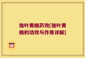 独叶黄精药效(独叶黄精的功效与作用详解)