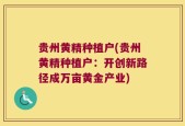 贵州黄精种植户(贵州黄精种植户：开创新路径成万亩黄金产业)
