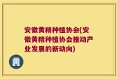 安徽黄精种植协会(安徽黄精种植协会推动产业发展的新动向)