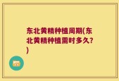东北黄精种植周期(东北黄精种植需时多久？)
