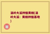 温岭大溪种植黄精(温岭大溪：黄精种植基地)