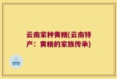 云南家种黄精(云南特产：黄精的家族传承)