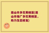 眉山市多花黄精苗(眉山市推广多花黄精苗，助力生态修复)