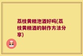 荔枝黄精泡酒好吗(荔枝黄精酒的制作方法分享)