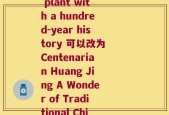一百多年的黄精(Huang Jing A plant with a hundred-year history 可以改为 Centenarian Huang Jing A Wonder of Traditional Chinese Medicine)
