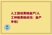 人工栽培黄精亩产(人工种植黄精成功：亩产丰收)
